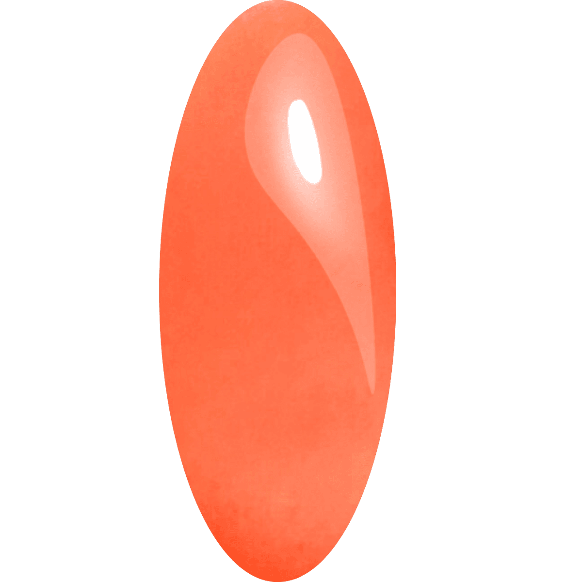 Magma